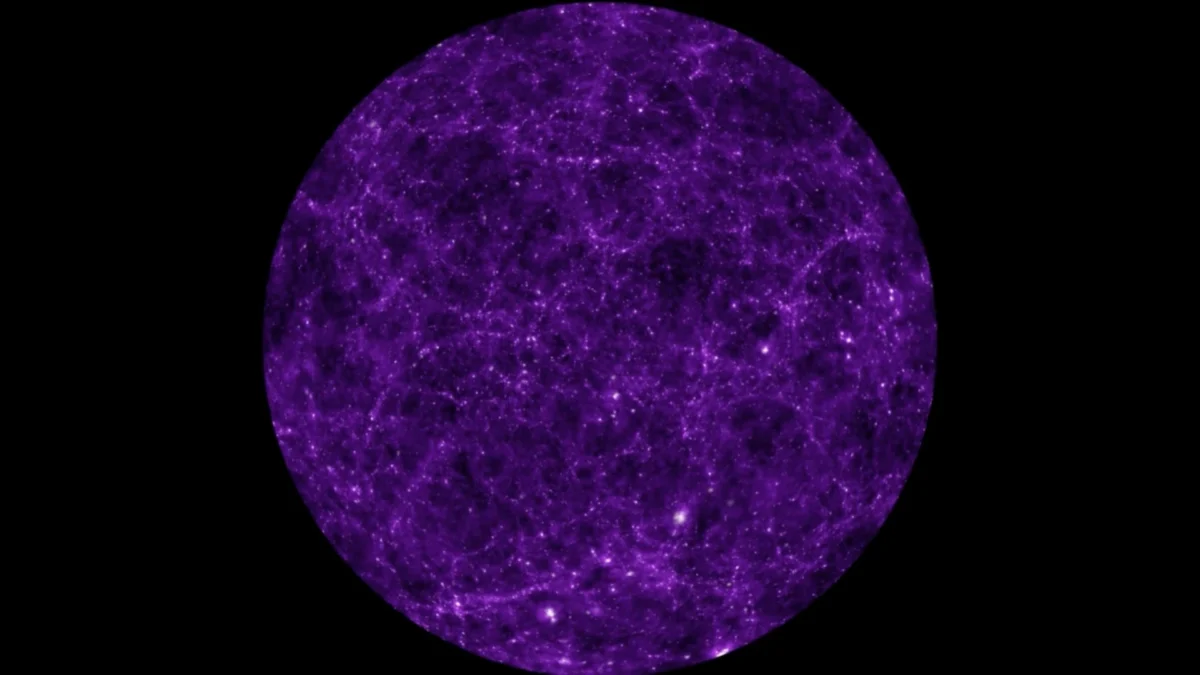 The Persistence of Cosmic Scars: Understanding the Nature and Survival of Topological Defects