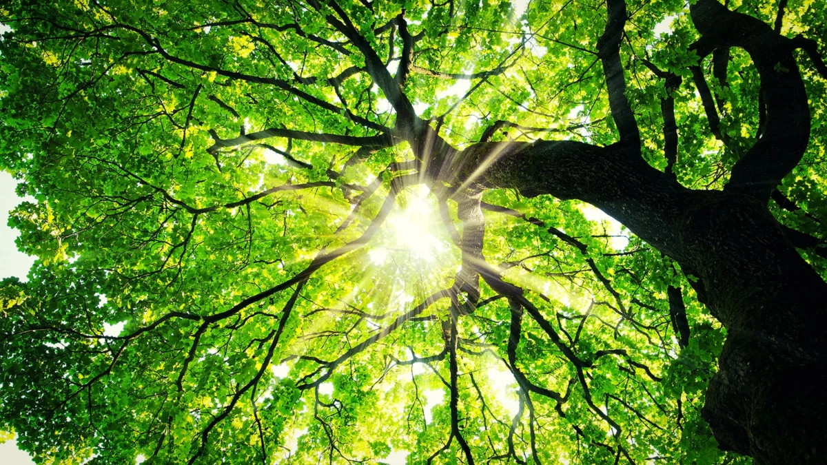 Gaming Industry Trends and Player Experiences for the Week of April 18