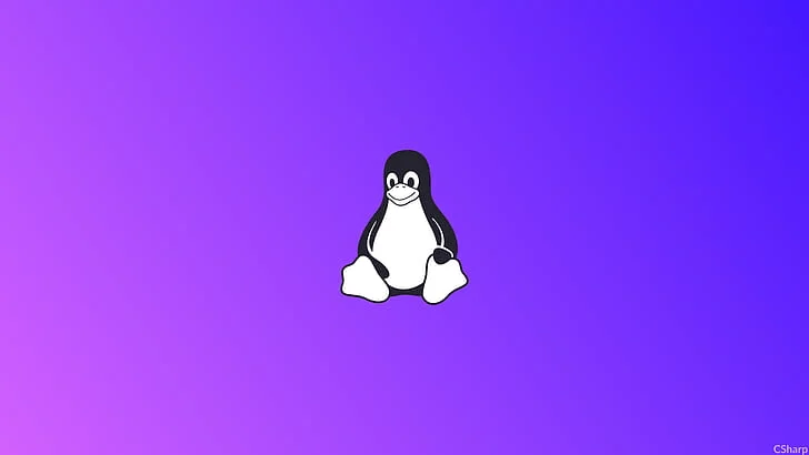 Alerte sécurité : ce hack prend le contrôle de n&rsquo;importe quel PC Linux