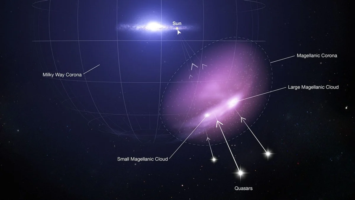 New Evidence in the Astrophysical Debate Over the Large Magellanic Cloud’s Orbital History and Its Impact on the Milky Way