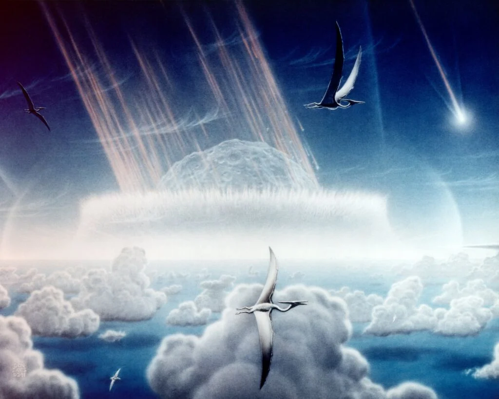Advanced Nickel Isotope Analysis Identifies Rare Carbonaceous Chondrite as the Impactor Responsible for the Cretaceous-Paleogene Mass Extinction