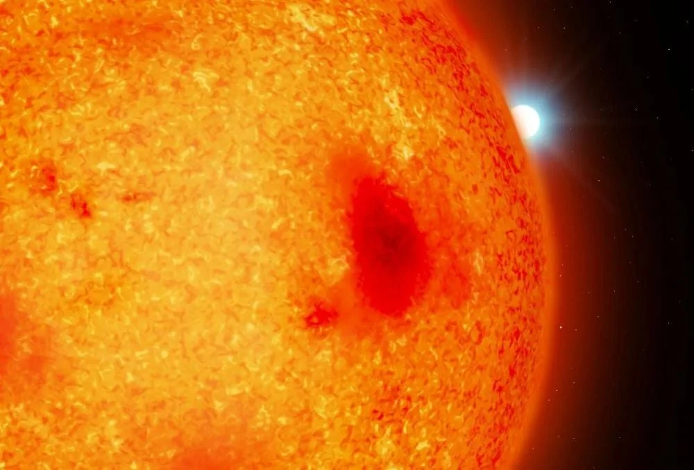 Direct detections of white dwarfs in four WD+dM post-common envelope binaries within 20 pc.