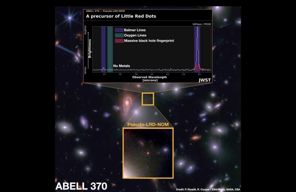 James Webb Space Telescope Unveils the Mystery of Little Red Dots and the Primordial Seeds of Galactic Evolution