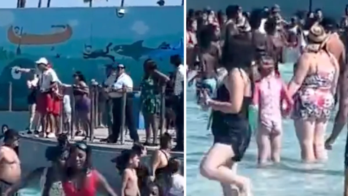 Public Altercation at Waterpark Sparks Widespread Concern Over Guest Safety and Family Entertainment Environments