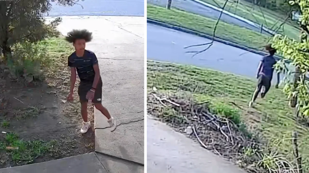 Woman Says Security Camera Caught Boy Throwing Rock Through Her Window — ‘She Checked Her Security Camera and Saw This’