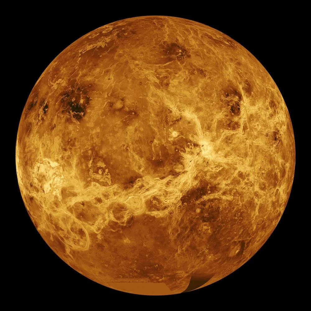 Tidal Demise: The Evolution and Fate of a Hypothetical Venus Moon