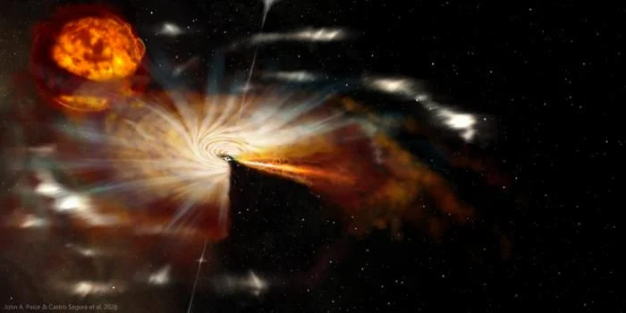 Unveiling the Complex Digestion of Black Holes: New Insights from the Swift J1727.8−1613 Binary System