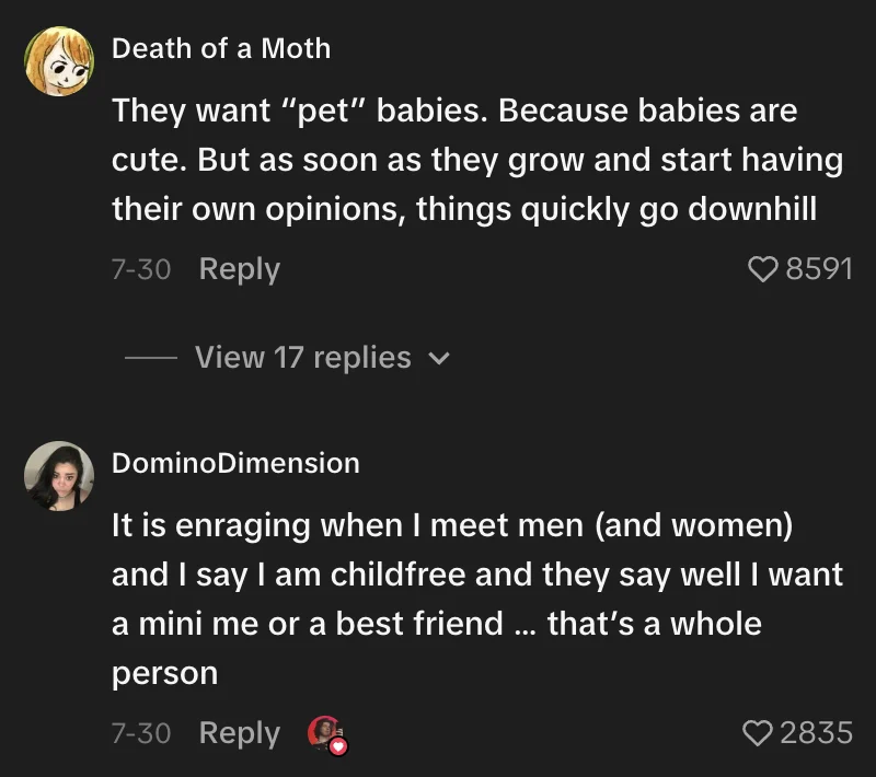 Viral TikTok Video Ignites Global Discourse on Childfree Lifestyles, Parental Expectations, and the Controversial ‘Flesh Puppy’ Remark.