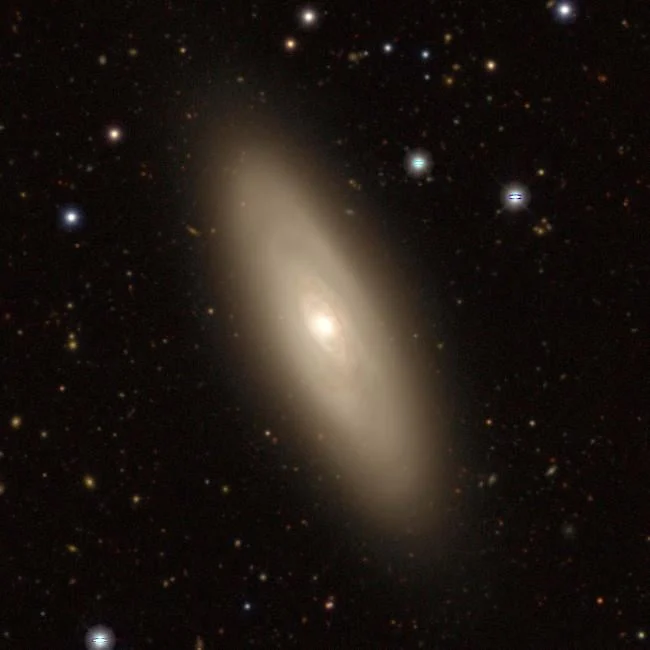 Active Galactic Nuclei and the Dynamic Reshaping of Stellar Nurseries in Nearby Seyfert Galaxies
