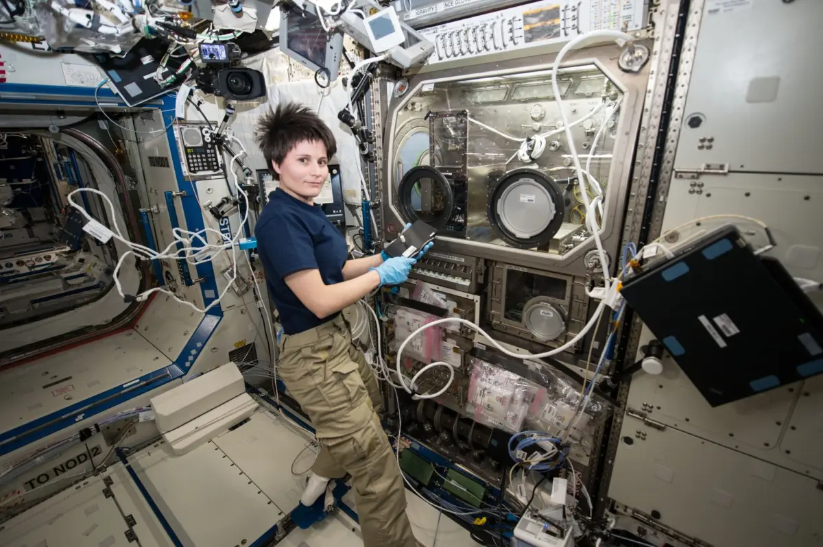 NYU Researchers Unveil How Microgravity Influences Human Genome Organization and Cellular Architecture
