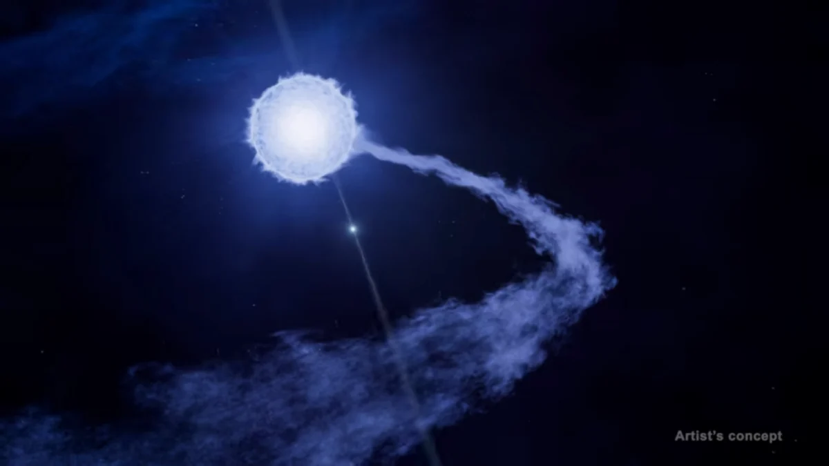 XRISM Observatory Directly Observes Stellar Wind Capture in High-Mass X-ray Binary BP Crucis